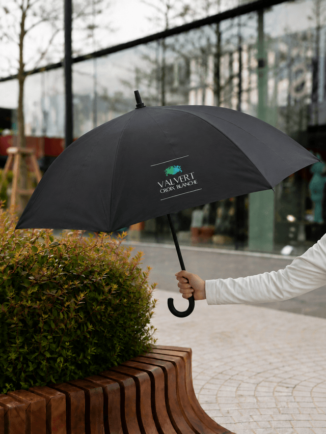 Parapluie